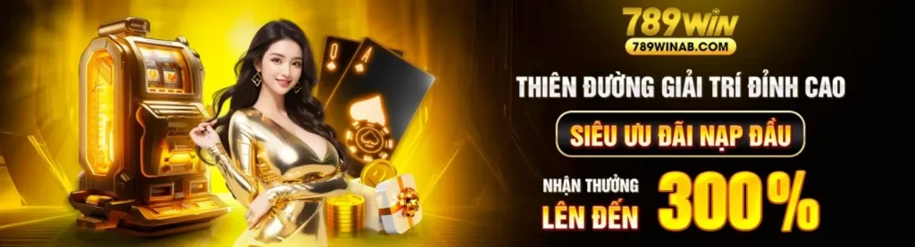 Hình ảnh đại diện Điều khoản Dịch vụ 911win