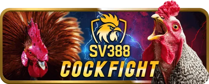 Các tính năng nổi bật của game bắn cá 911win